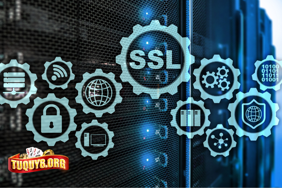 Chính sách bảo mật Tuquy8